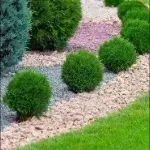 lawn care services greensboro 1