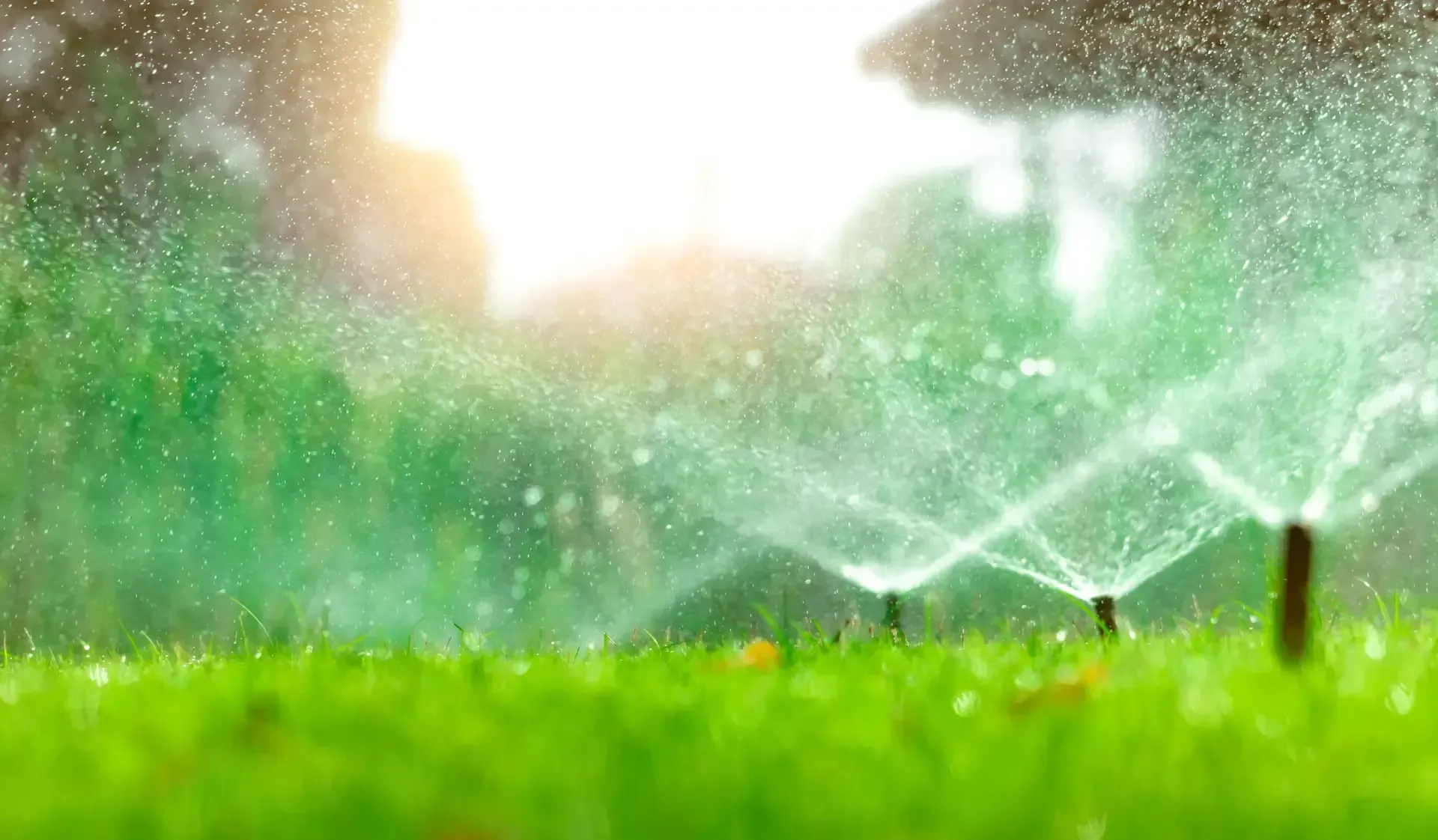 lawn care services greensboro 2