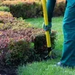 lawn care services greensboro