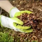 lawn care services greensboro 3