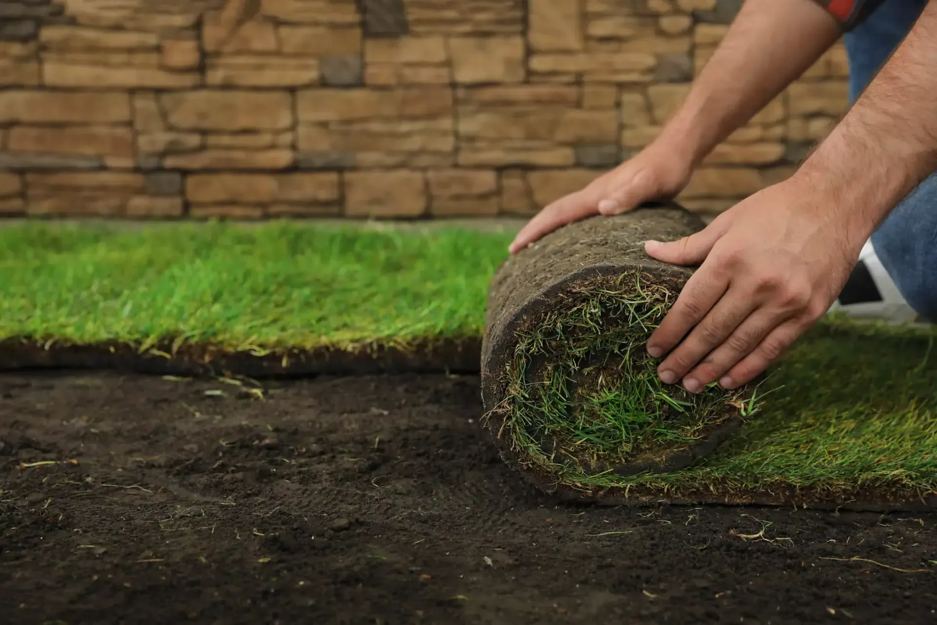 sod installation greensboro