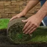 sod installation greensboro