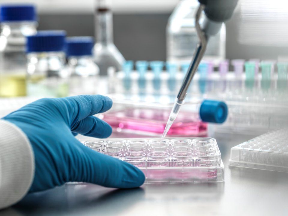 Laboratori chiavi in mano