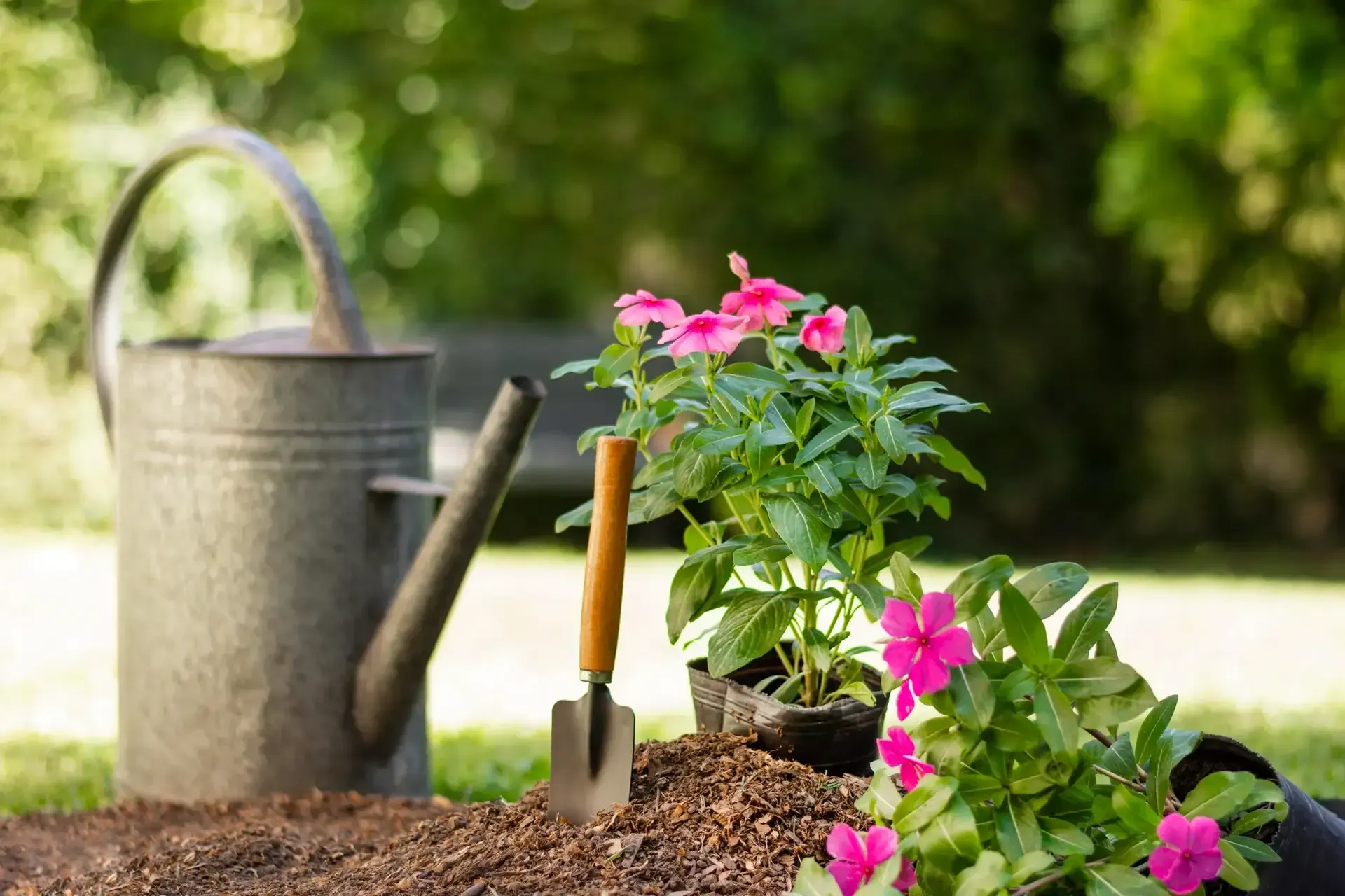 Seasonal Gardening