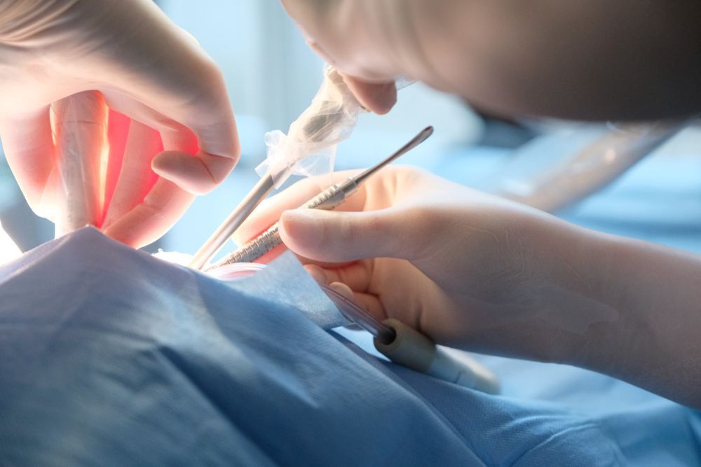 Dentist and assistant examining a patient's teeth in a dental office.