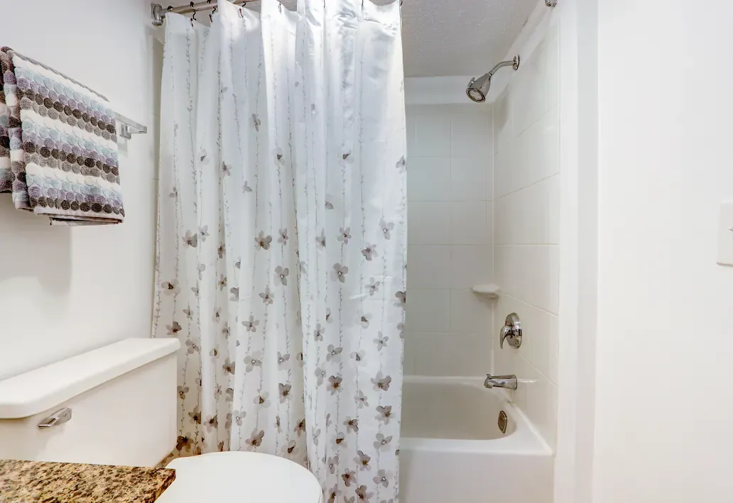 Interior fo bathroom with tub