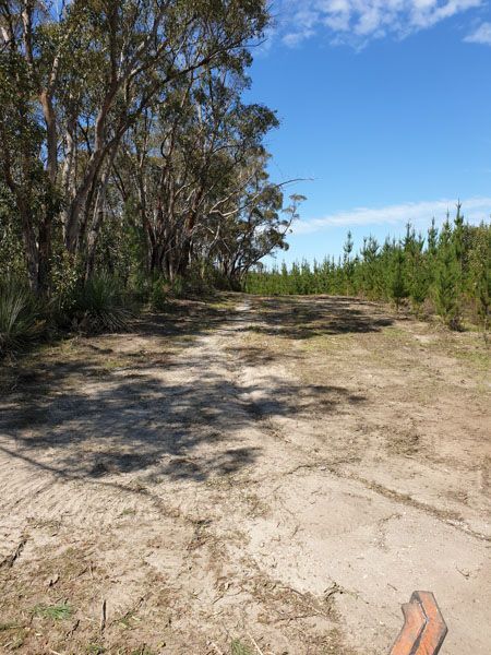 A person laying on a dirt road with trees in the background