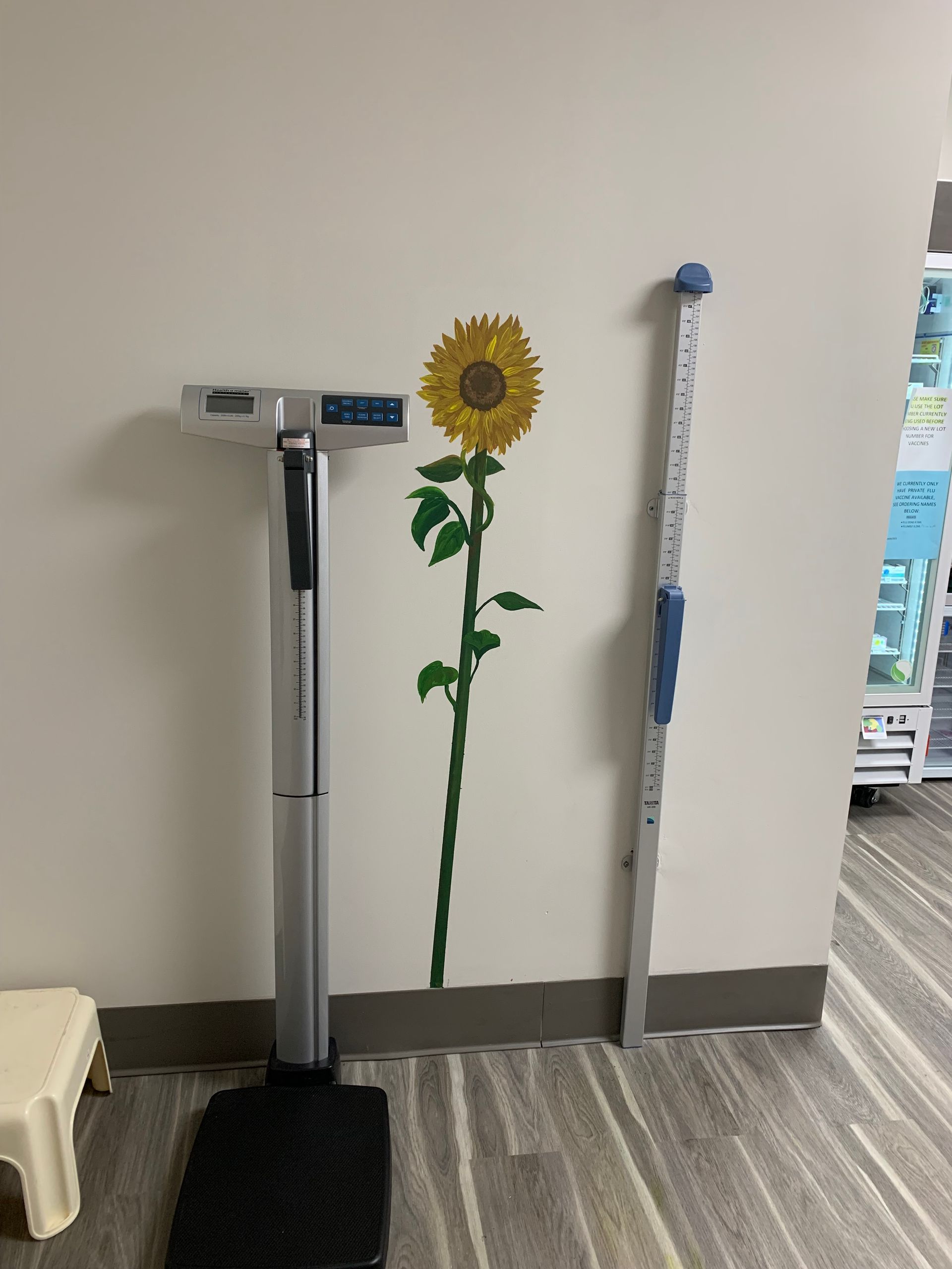 A scale is sitting next to a sunflower on a wall at Advocare Fairmount Pediatrics