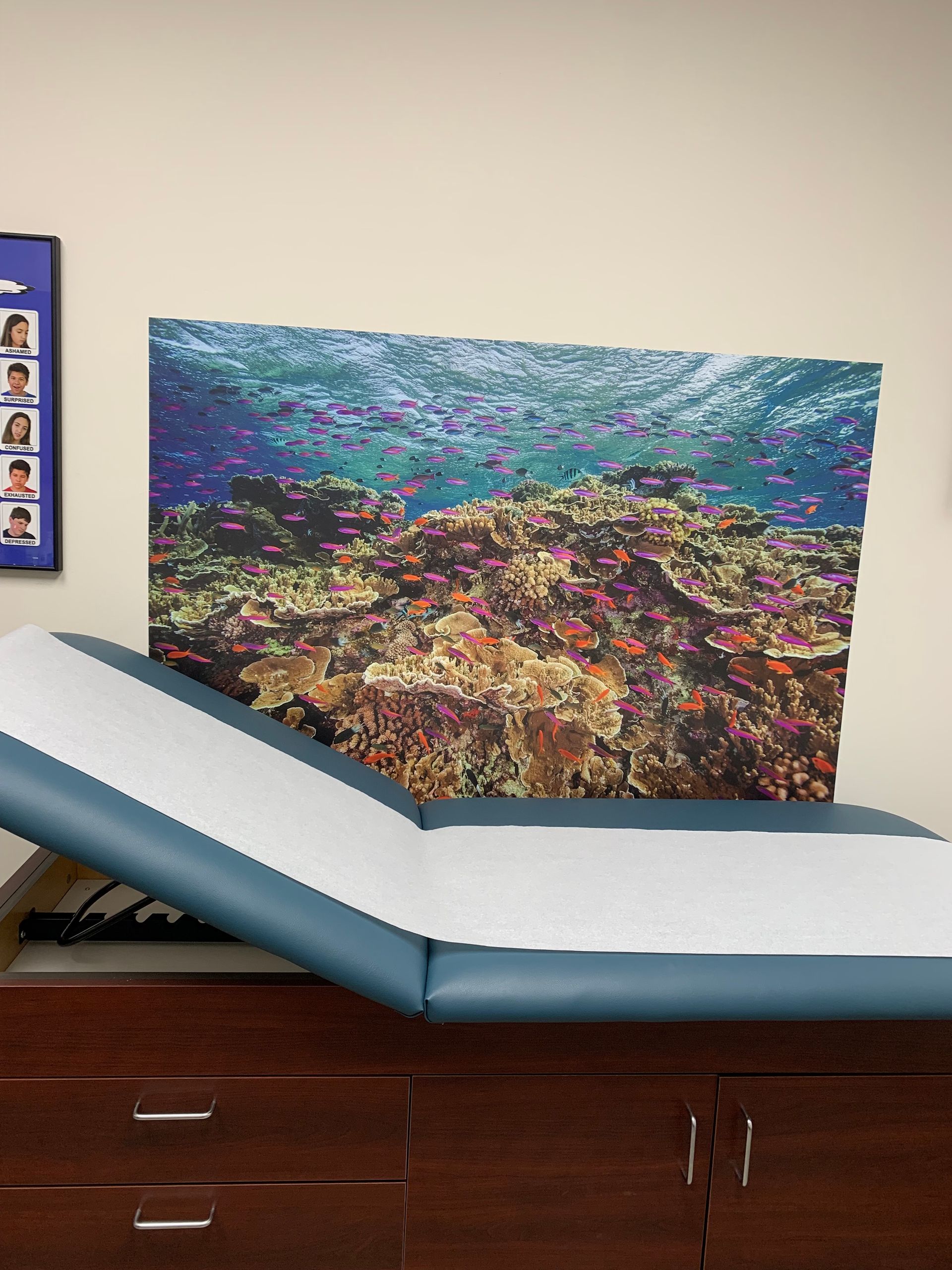 A doctor 's table with a picture of a coral reef on the wall behind it at at Advocare Fairmount Pediatrics