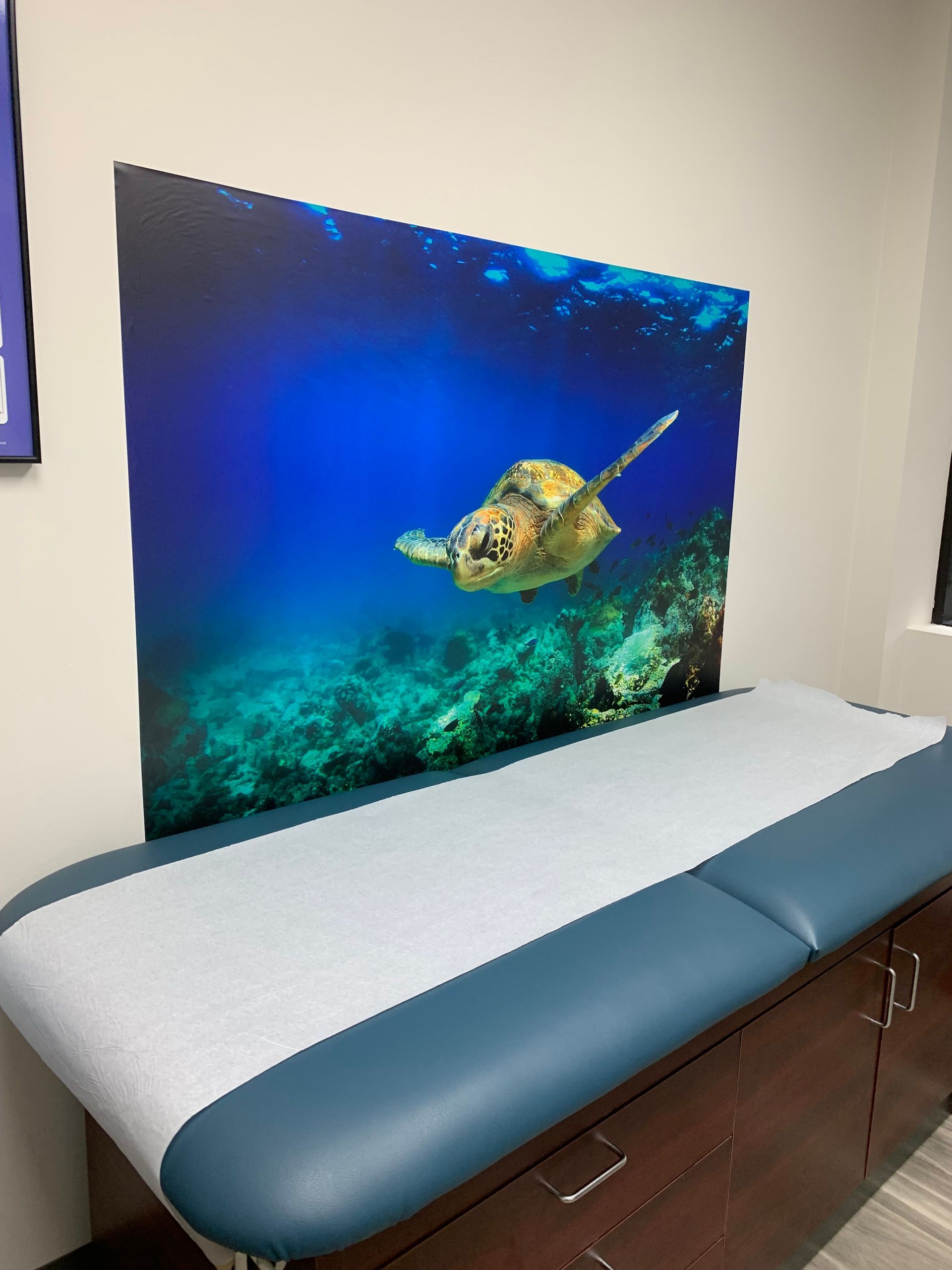 A doctor 's table with a picture of a sea turtle on the wall behind it at at Advocare Fairmount Pediatrics