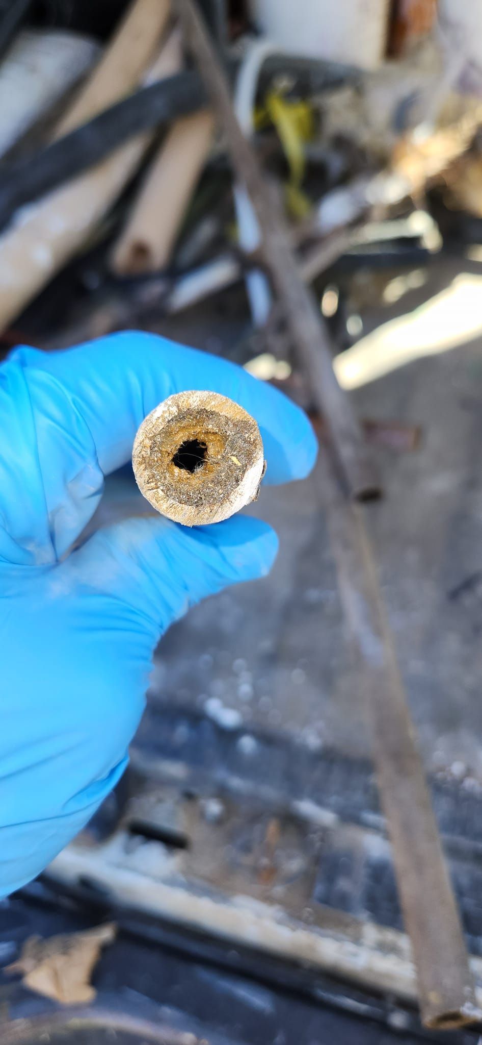 A gloved hand holds a cross-section of a narrow, calcified pipe with a severely restricted, dark opening.