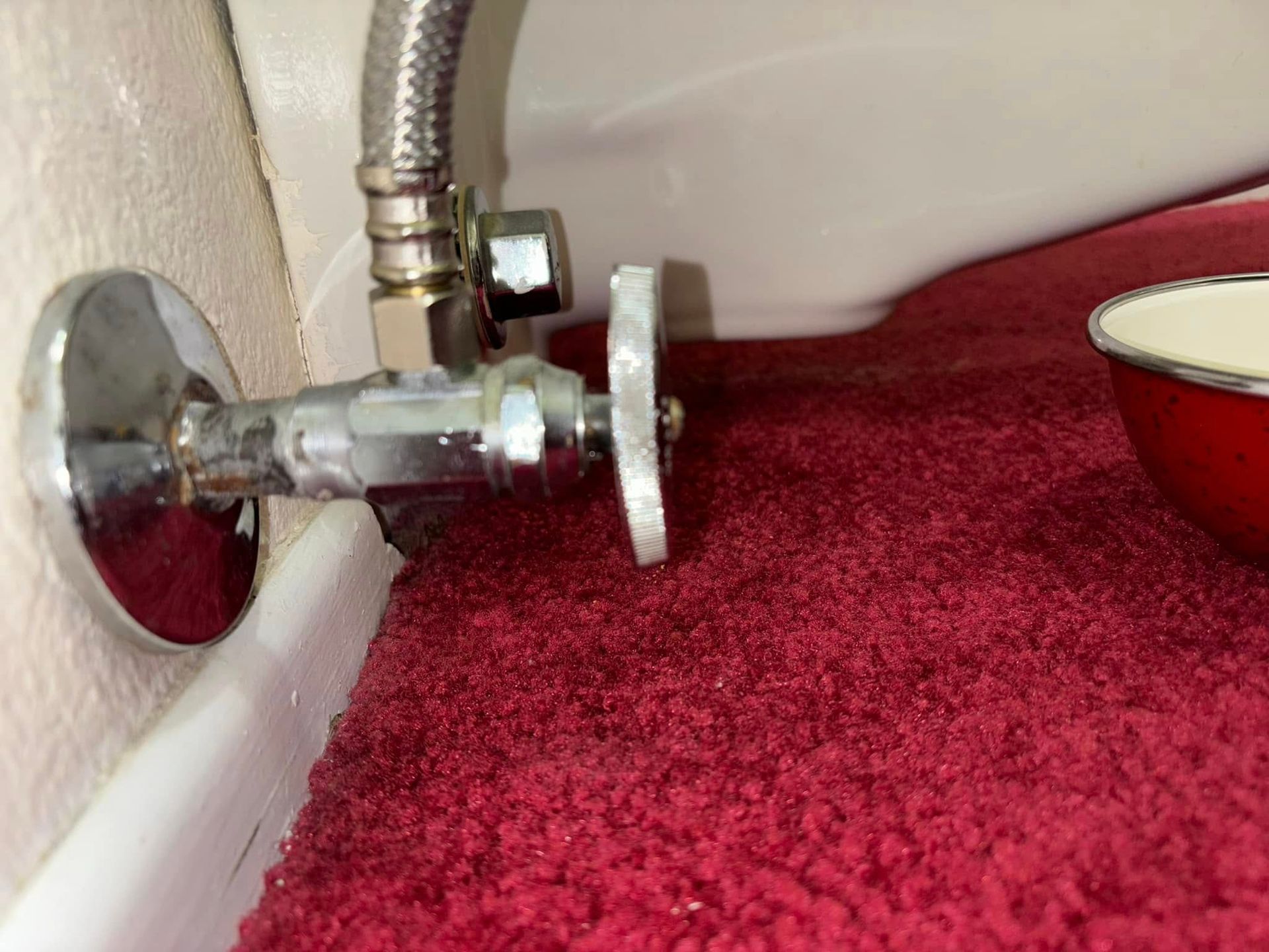 A chrome water shut-off valve with a white handle installed on a wall above red carpeting, with a flexible hose attached.