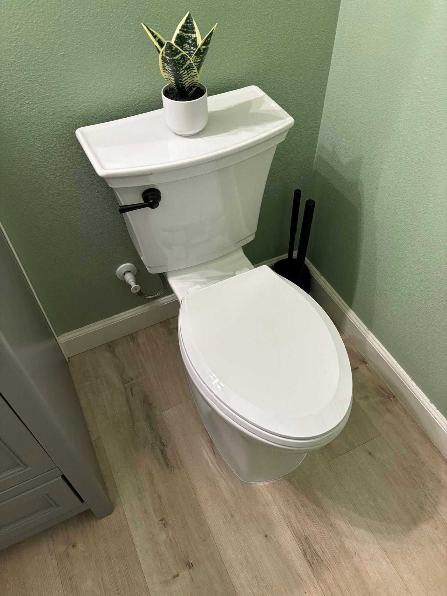 A white toilet with a small green plant on its lid, positioned against a sage green wall on light wood-look flooring.