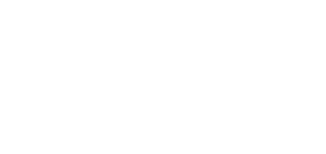 logo-image