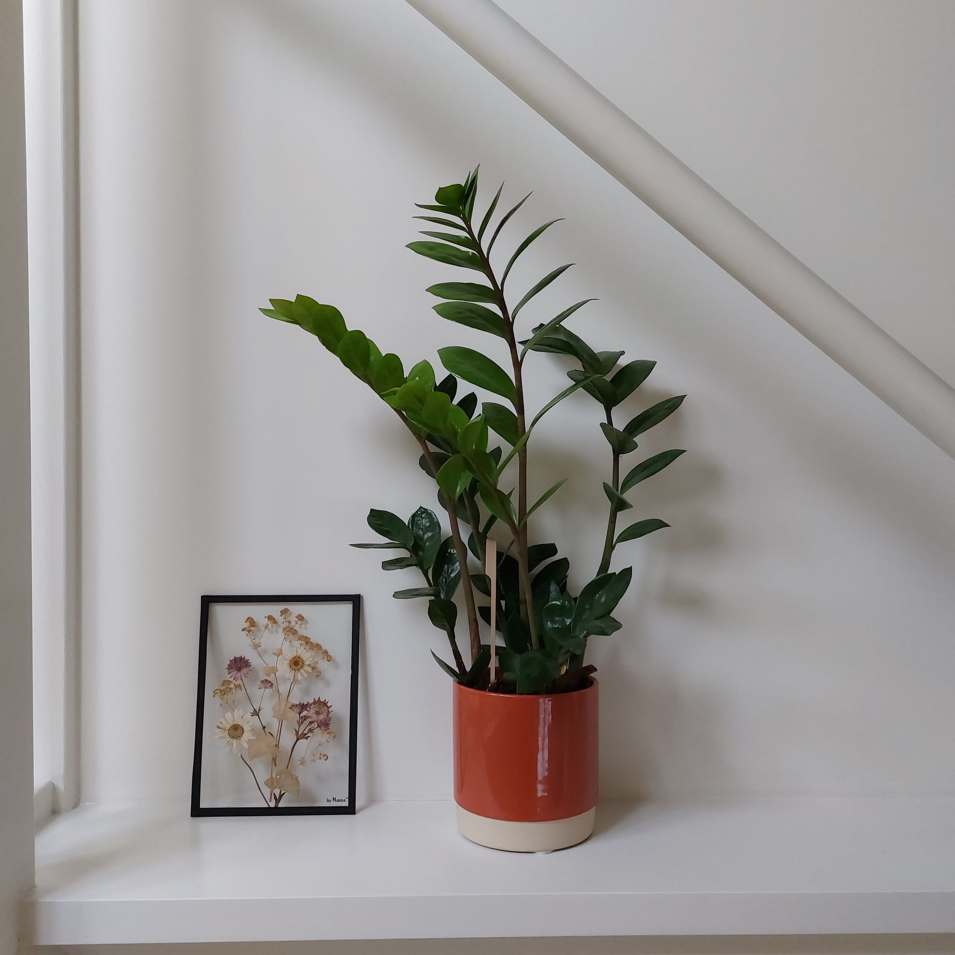 Planten