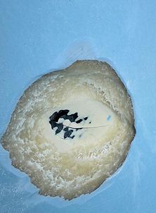 Close-up of a small round bread roll with a white creamy filling and dark topping on a blue surface
