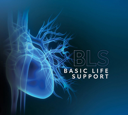 [Renewal] BLS Provider
