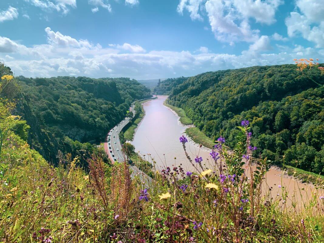 ethical pest control Avon gorge Bristol