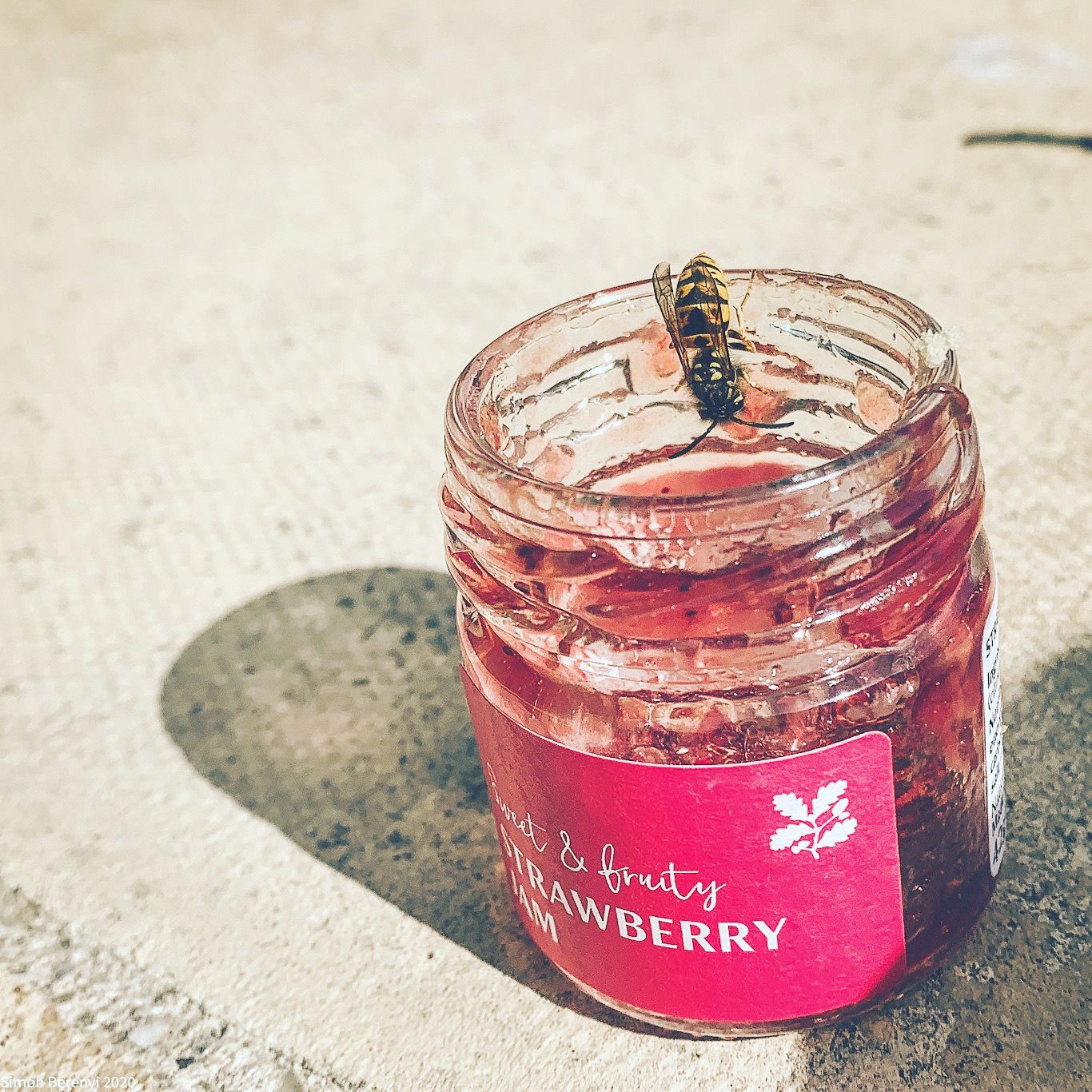 Wasp On Jam At Party Near Bristol