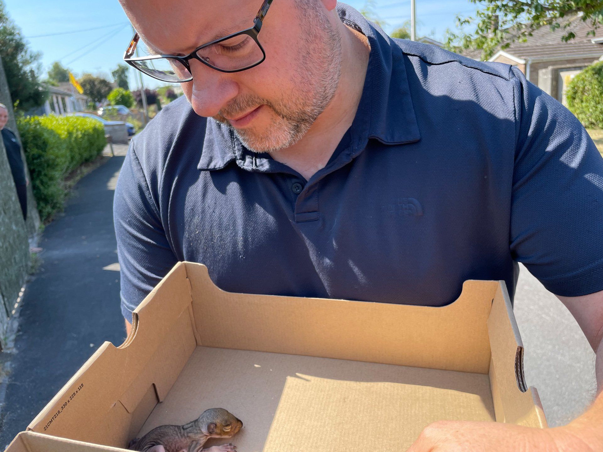 rescued squirrel kitten bristol
