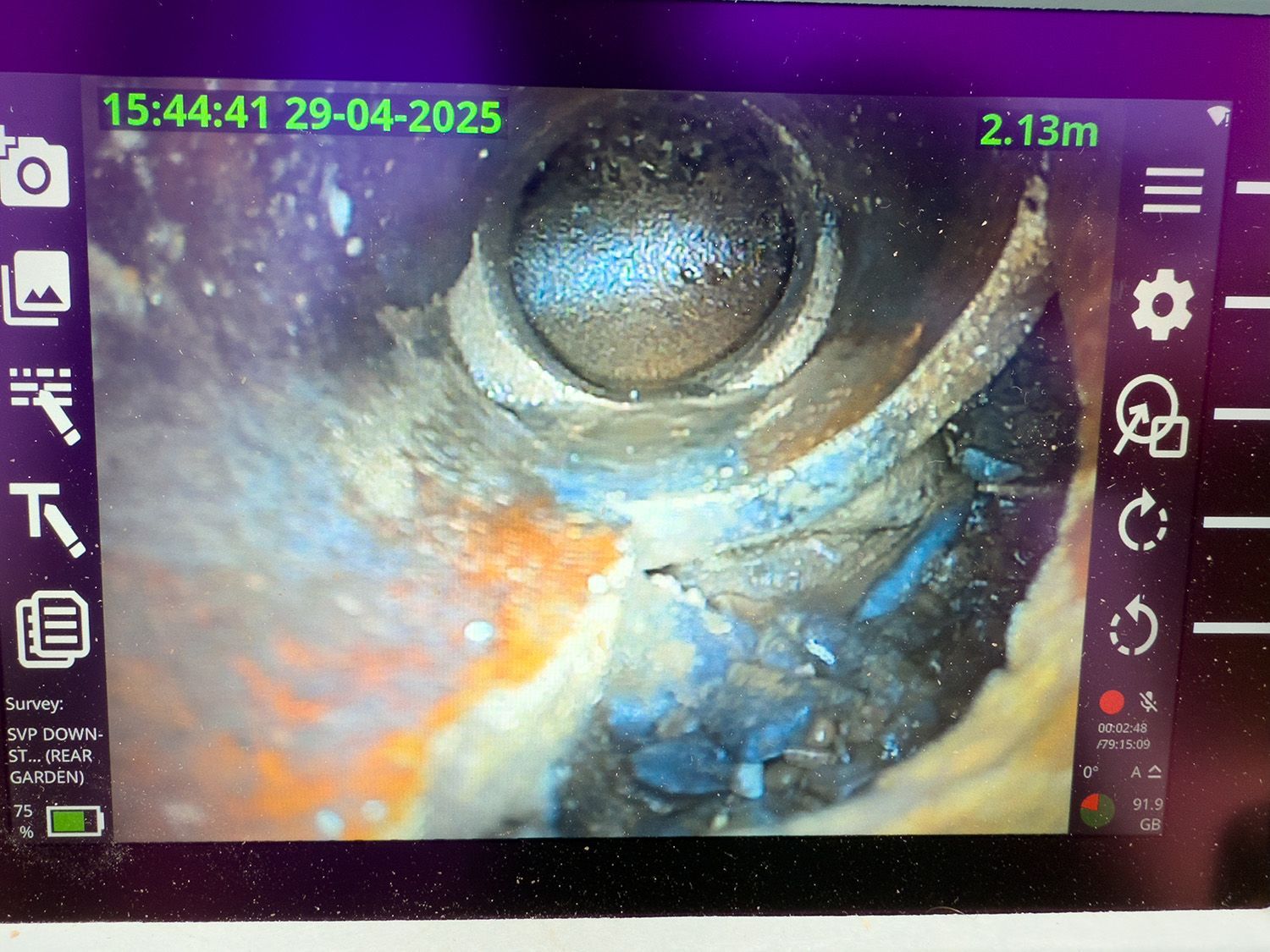 rats from broken drain
