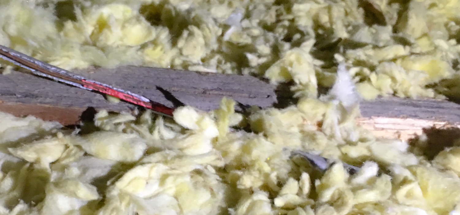 squirrel damage gnawed wires in attic