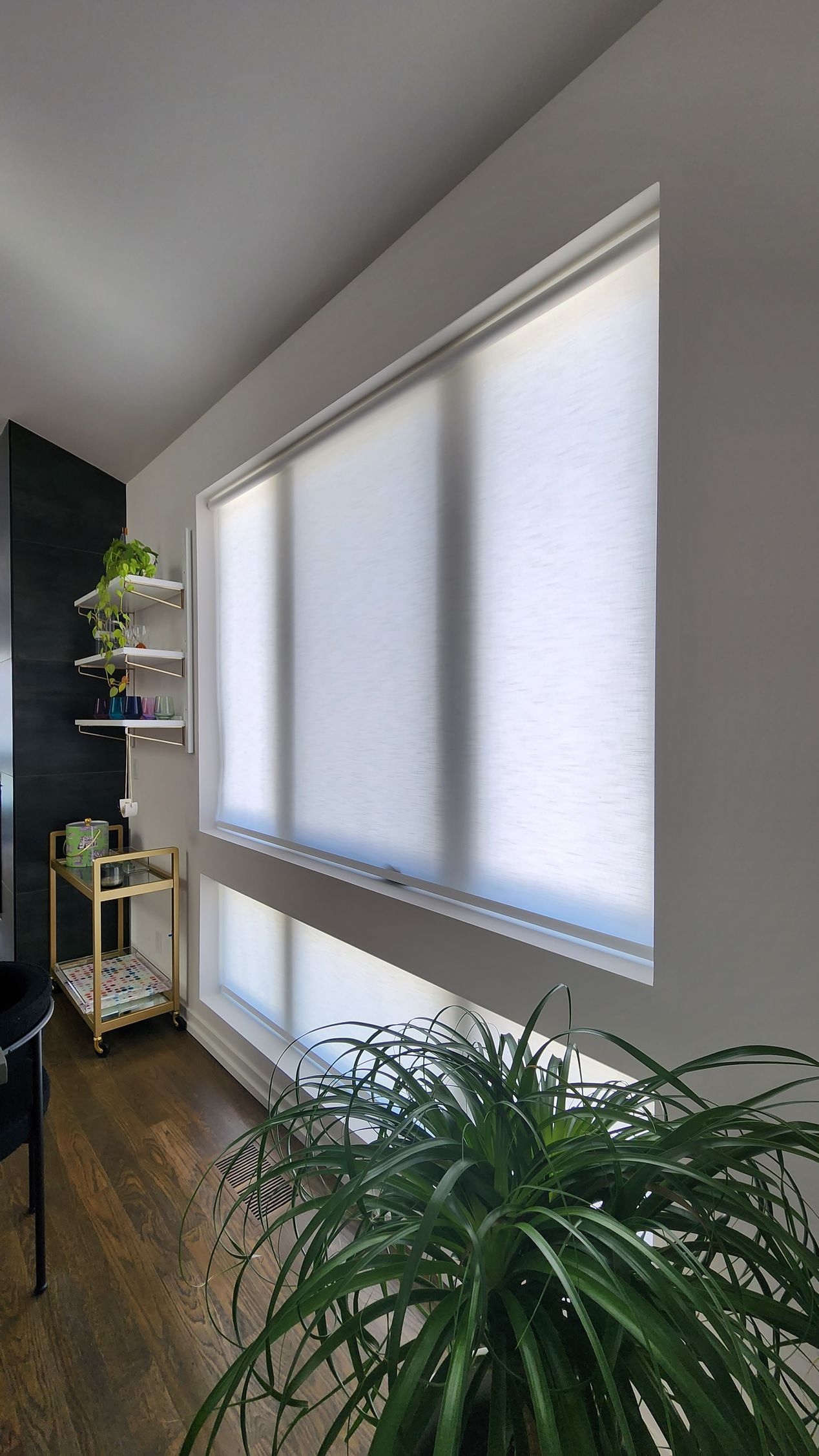 Solar Shield Roller Shade in a Kansas City home