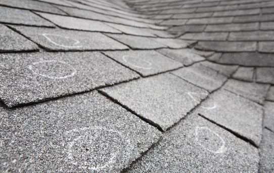 Gray asphalt roof shingles marked with white chalk circles to highlight potential hail damage.