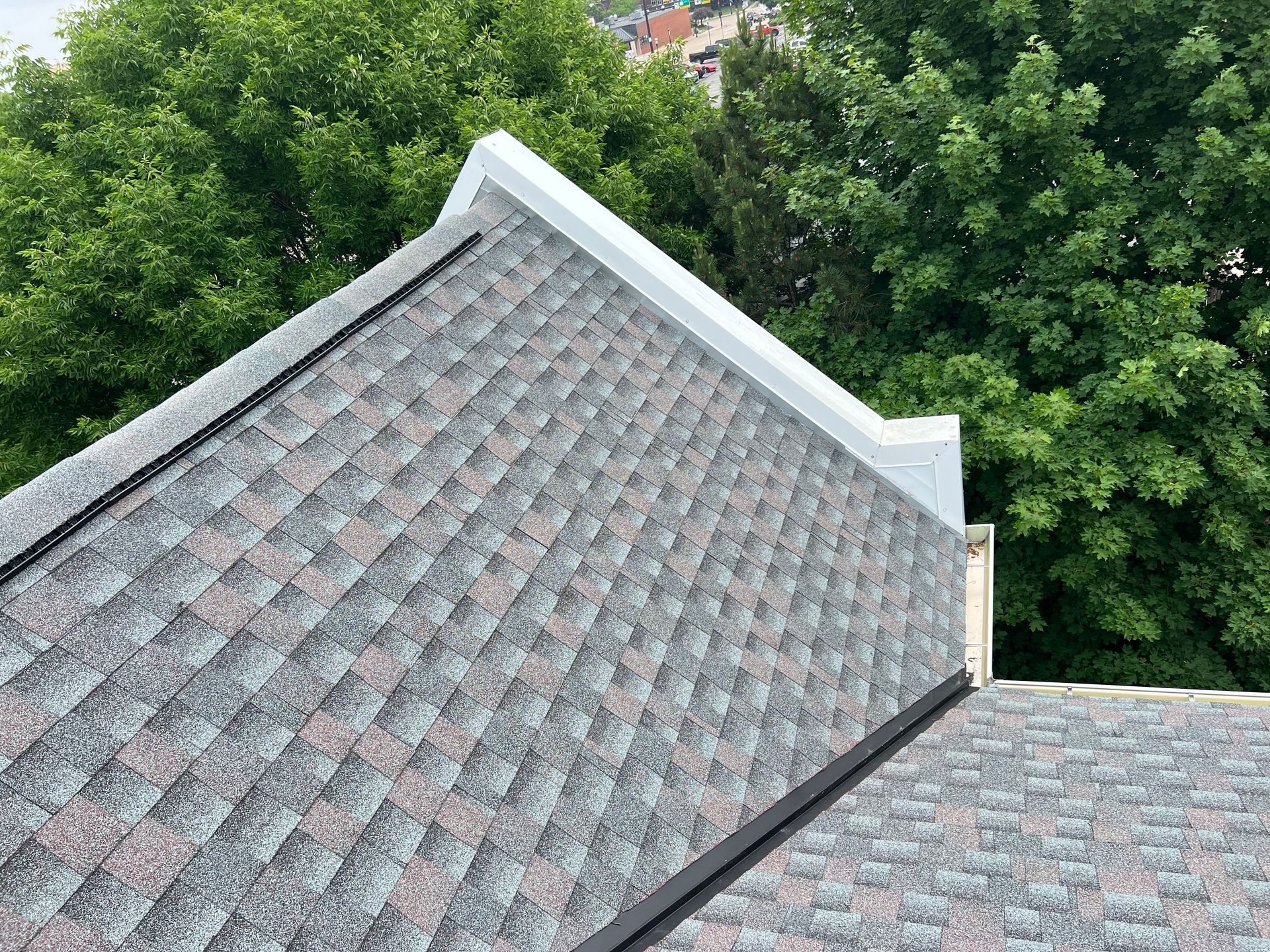 A steeply pitched roof covered in gray, multi-toned architectural shingles, with white trim and lush green trees behind.