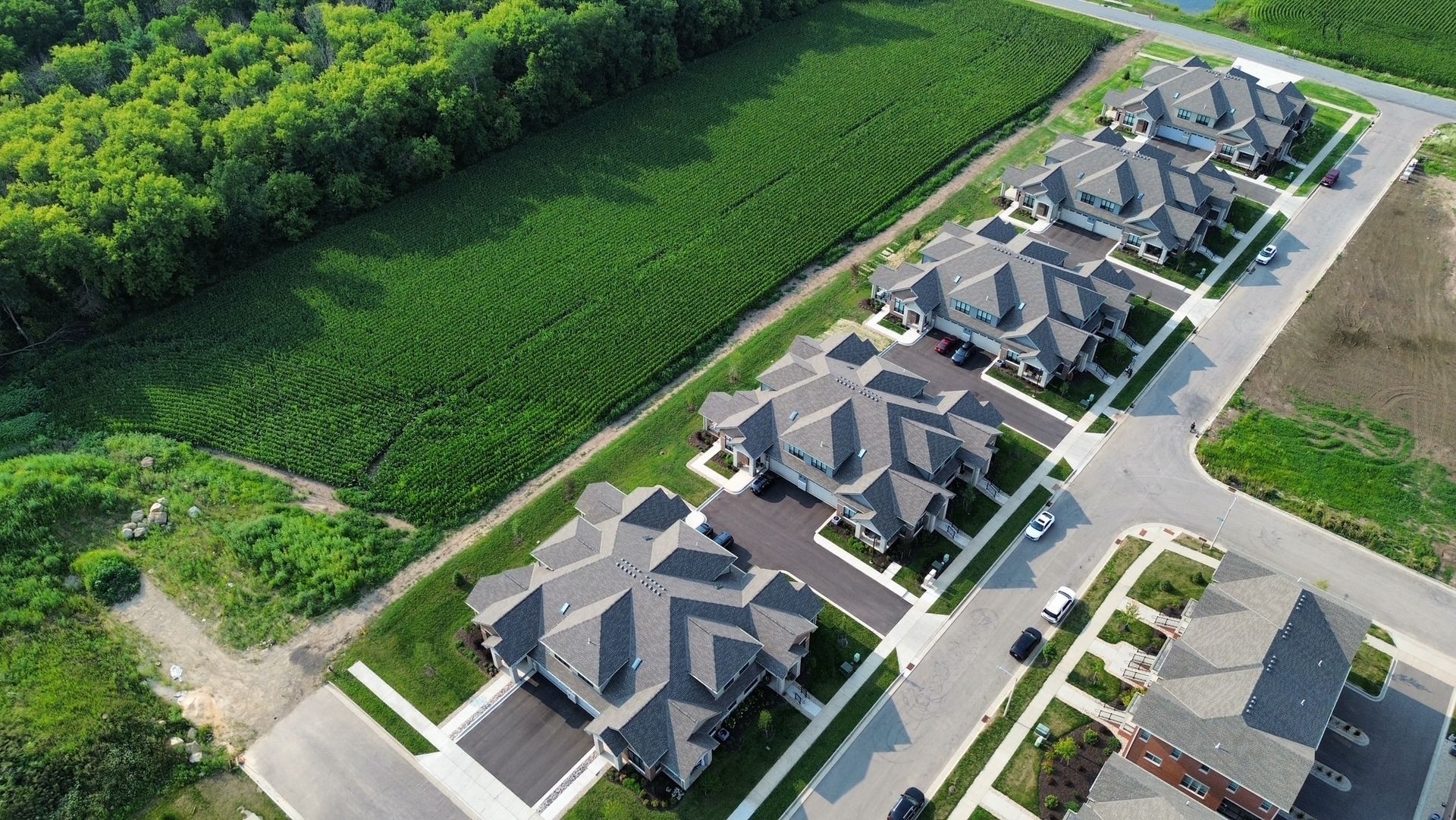 Aerial view of a suburban neighborhood with rows of houses beside green fields and trees