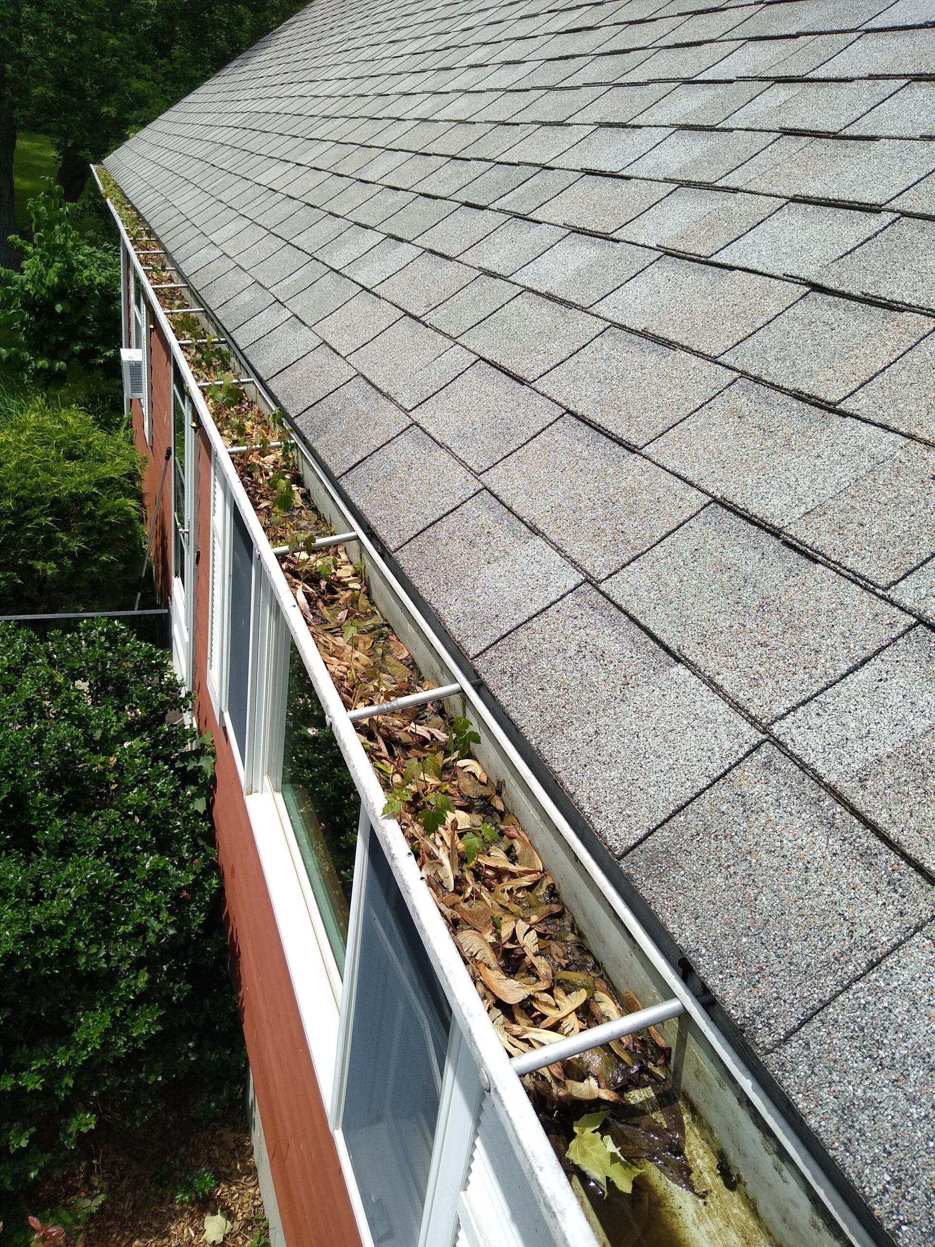 House Gutter with Leaves — Hadley, MA — Family Window Cleaning & Property Maintenance