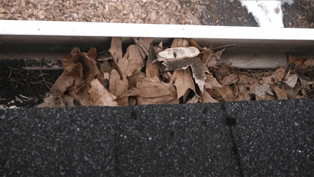 Gutter With Leaves — Hadley, MA — Family Window Cleaning & Property Maintenance