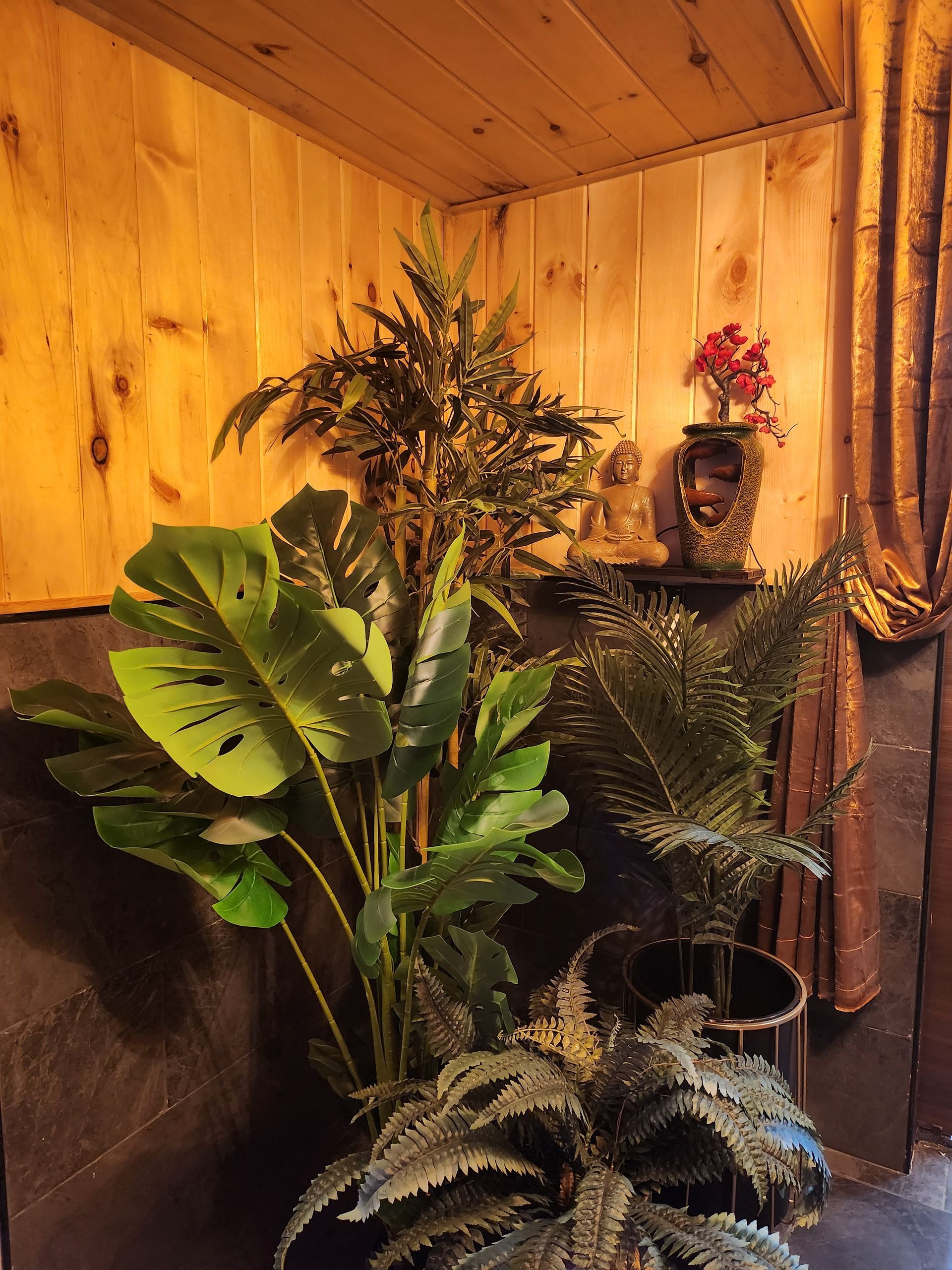 Plants in pots against a wooden wall corner, including a Monstera and ferns. A small shelf holds a vase with flowers.