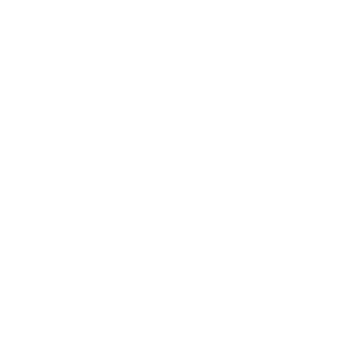 Nick's Painting & Drywall Repairs Logo