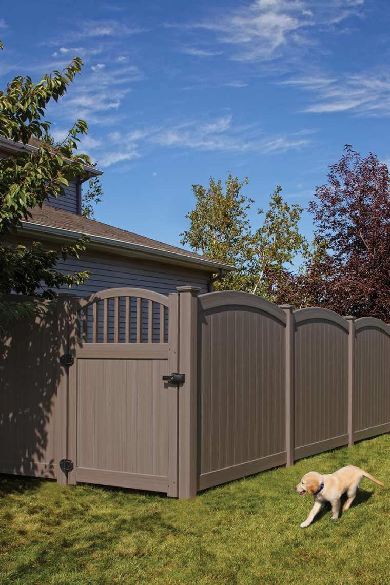 Backyard shed and tan fence under blue sky, with a small dog sniffing the grass
