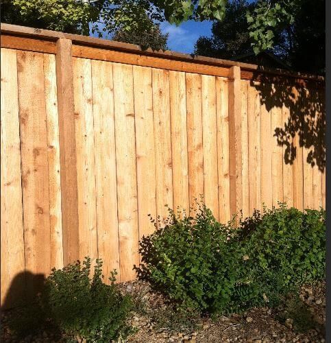 Wooden privacy fence with sunlit planks and green shrubs along the base in a backyard.