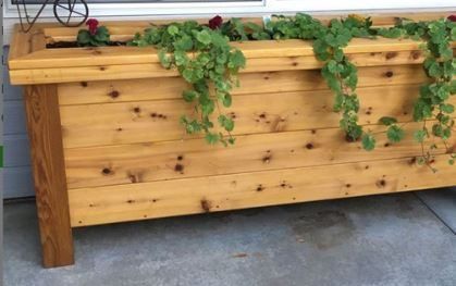 Wooden planter box with trailing green vines against a light exterior wall
