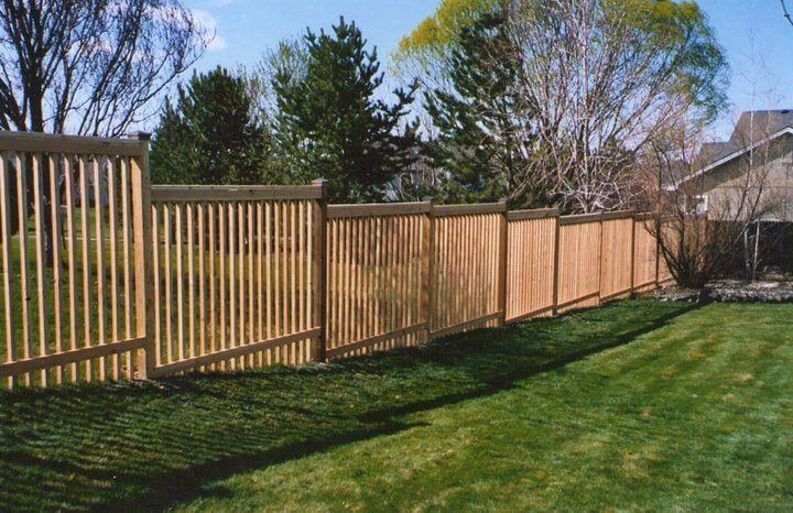 Wooden privacy fence lining a sunny green backyard with trees and blue sky