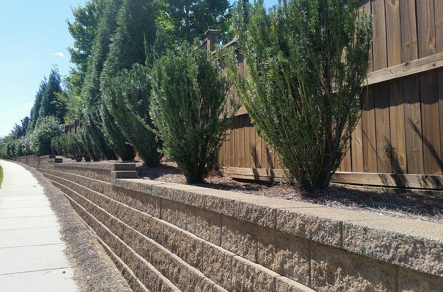 retaining wall with plants