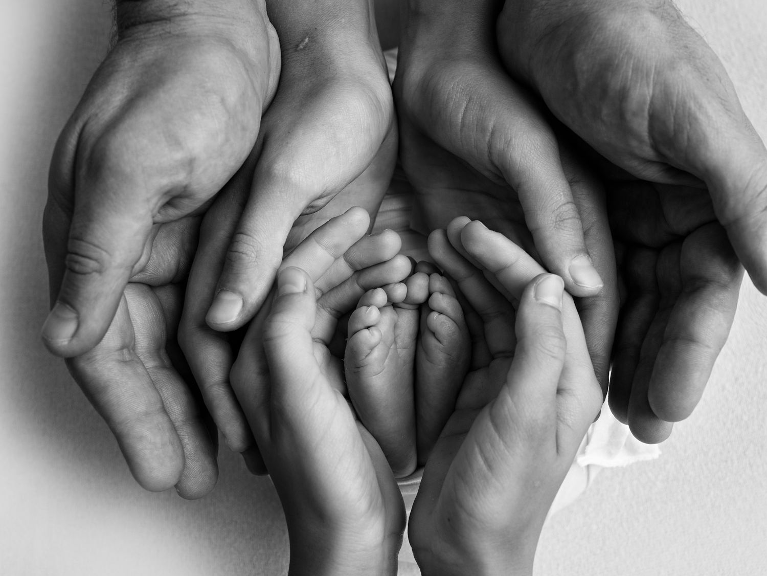 Hands of parents cradling tiny baby feet, in black and white.