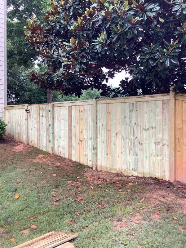 Wooden fence in a yard, under a large tree with dark green leaves.