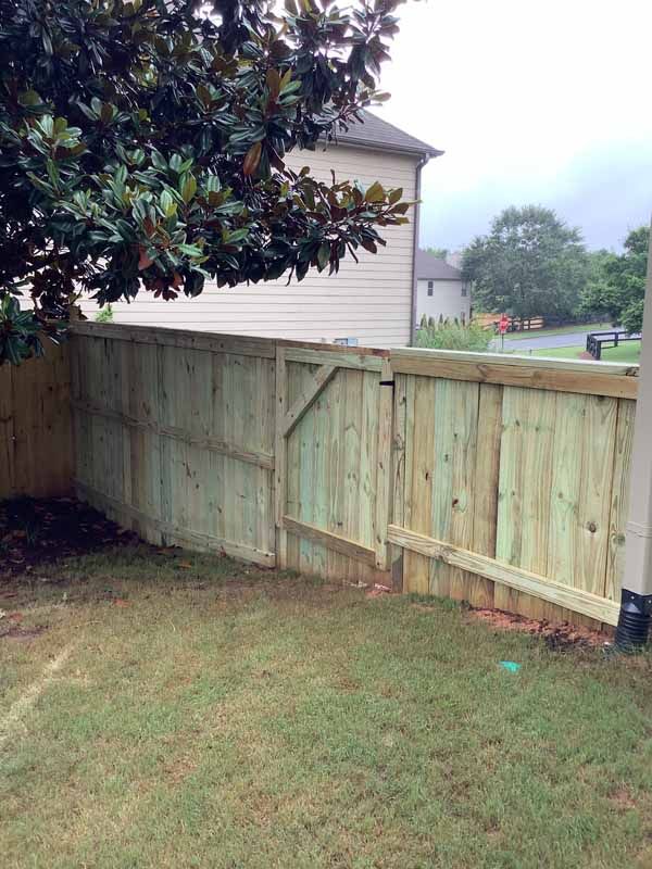 A wooden fence with a gate stands in a grassy yard, partially shaded by a magnolia tree, with a house visible in the rear.