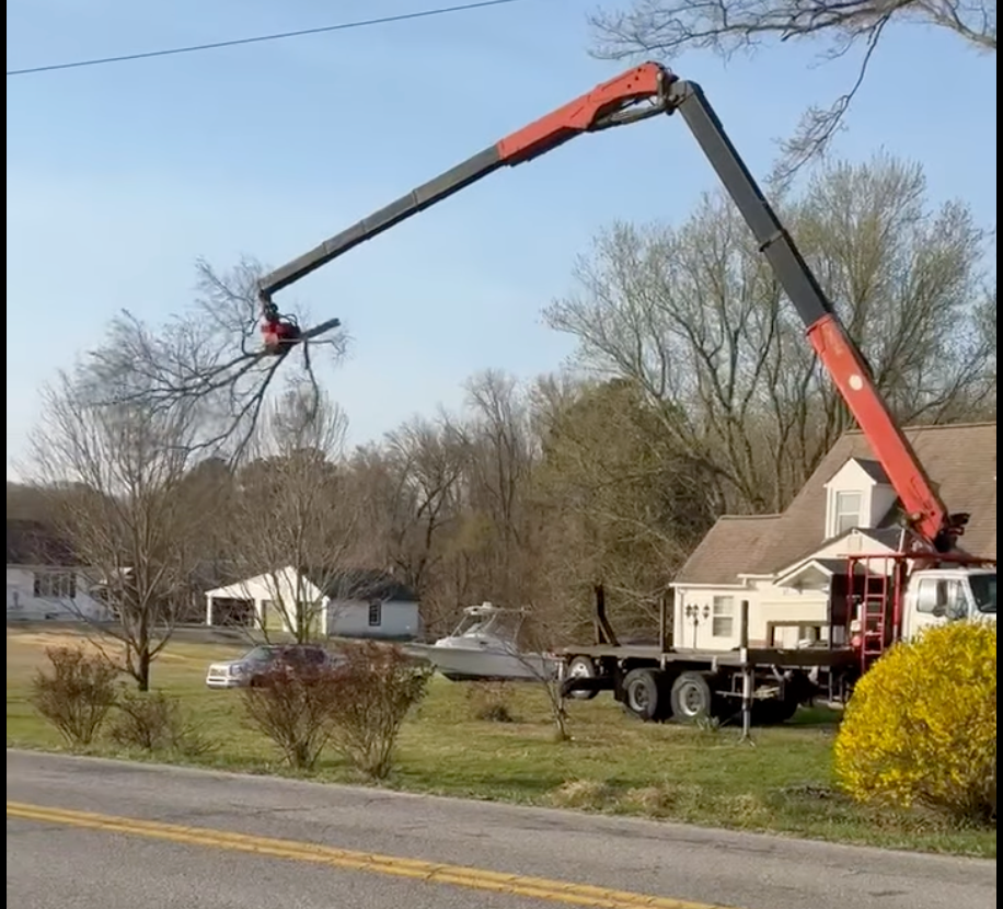 Utility crane truck lifting tree branches beside a suburban road on a sunny day