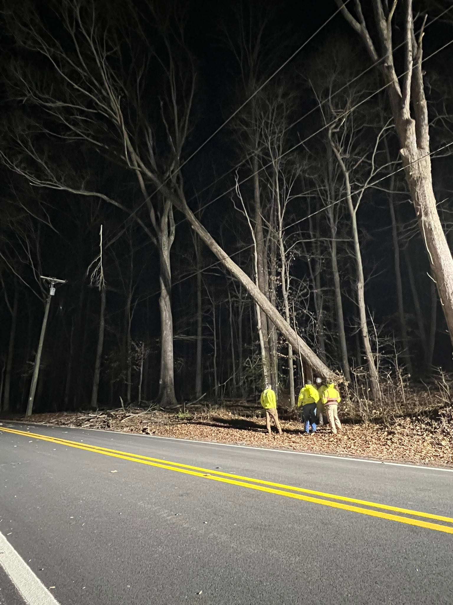 Workers in yellow jackets on a dark roadside beside a wooded forest at night
