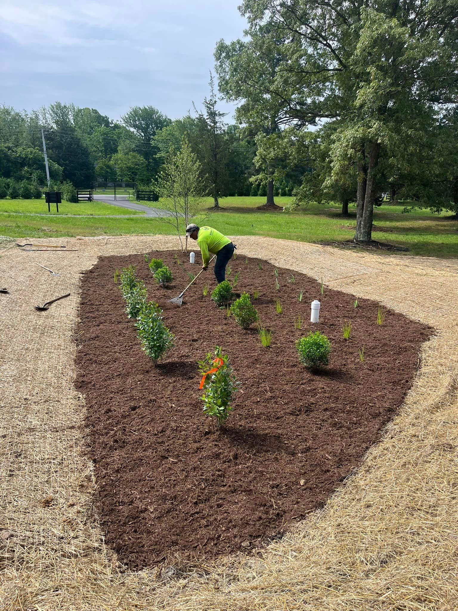 A man is planting plants in a garden.