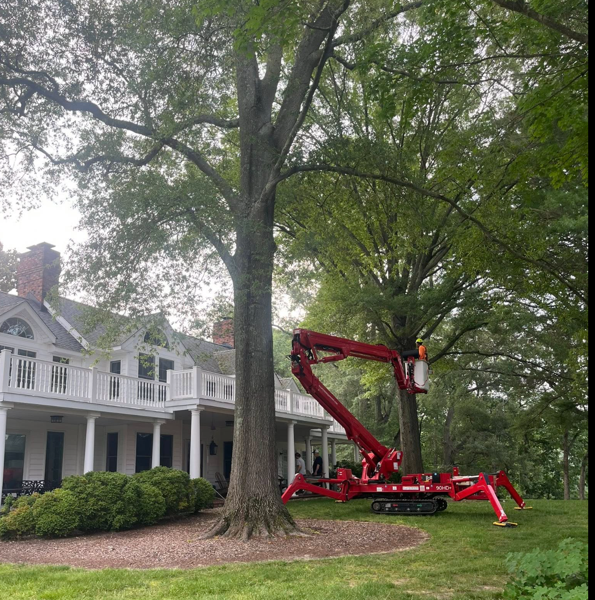 Red boom lift parked beside a large tree in front of a white house
