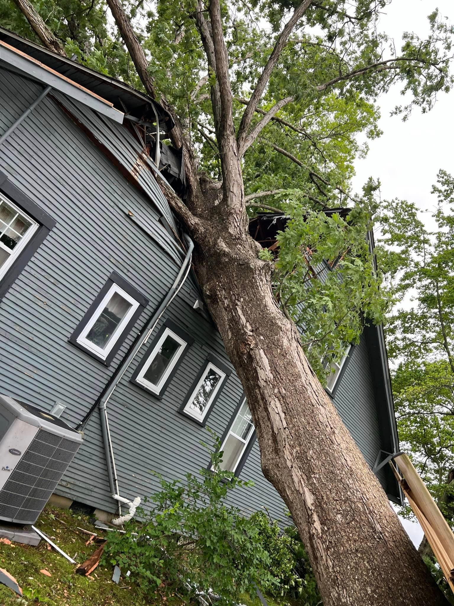 A tree has fallen on the side of a house.