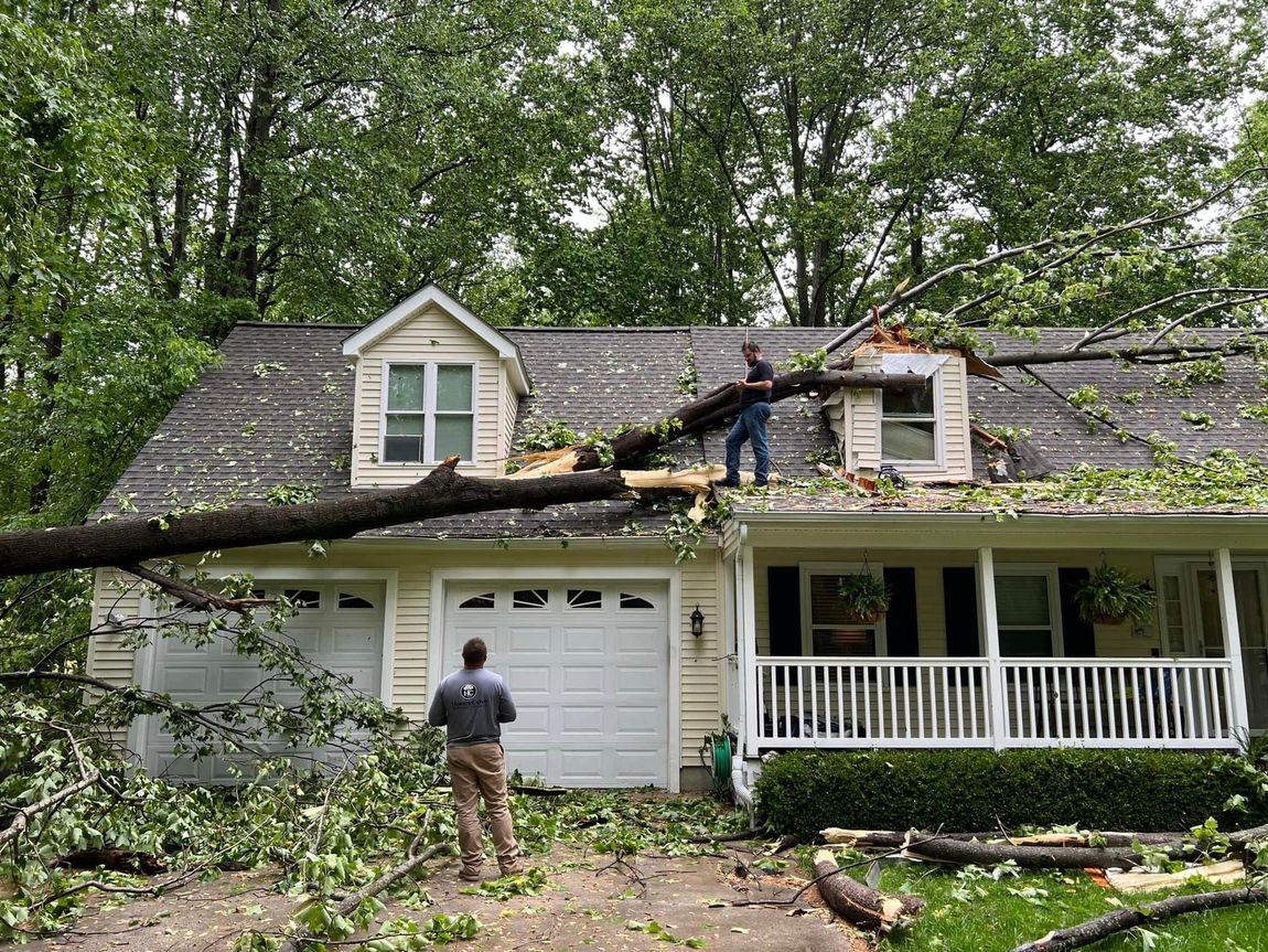 A tree has fallen on the roof of a house.