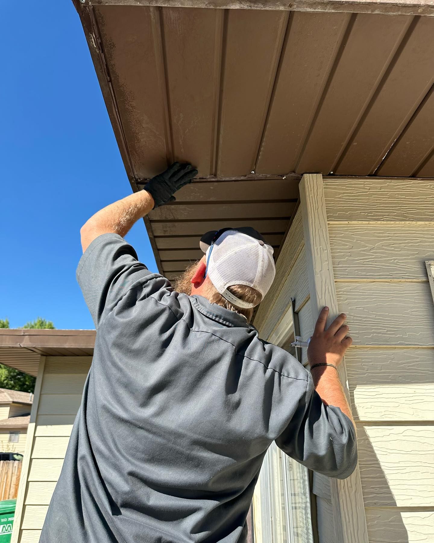 Residential Pest Control Services | Summit Integrated Pest Management ...