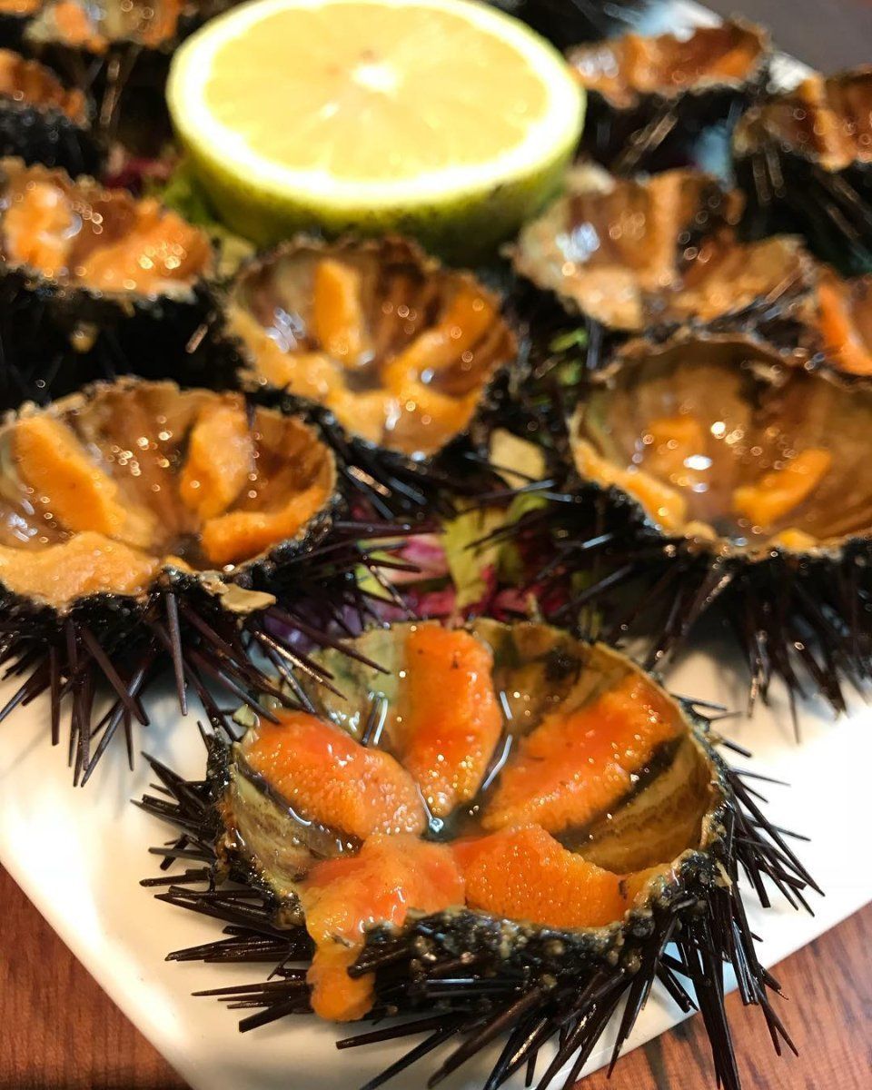 ricci di mare